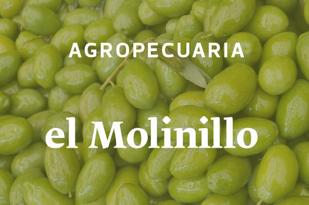 agropecuaria El molinillo aceitunas vedes