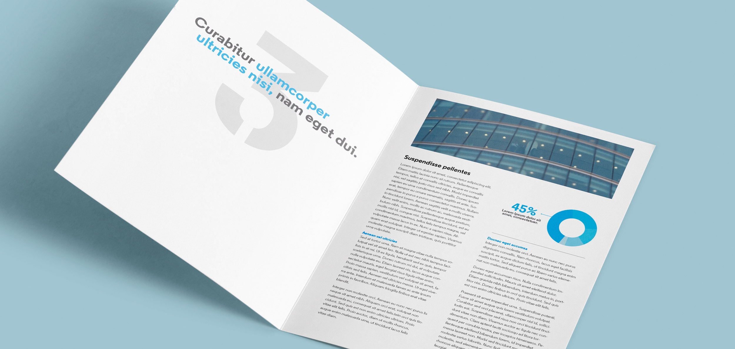 Opportunity revista